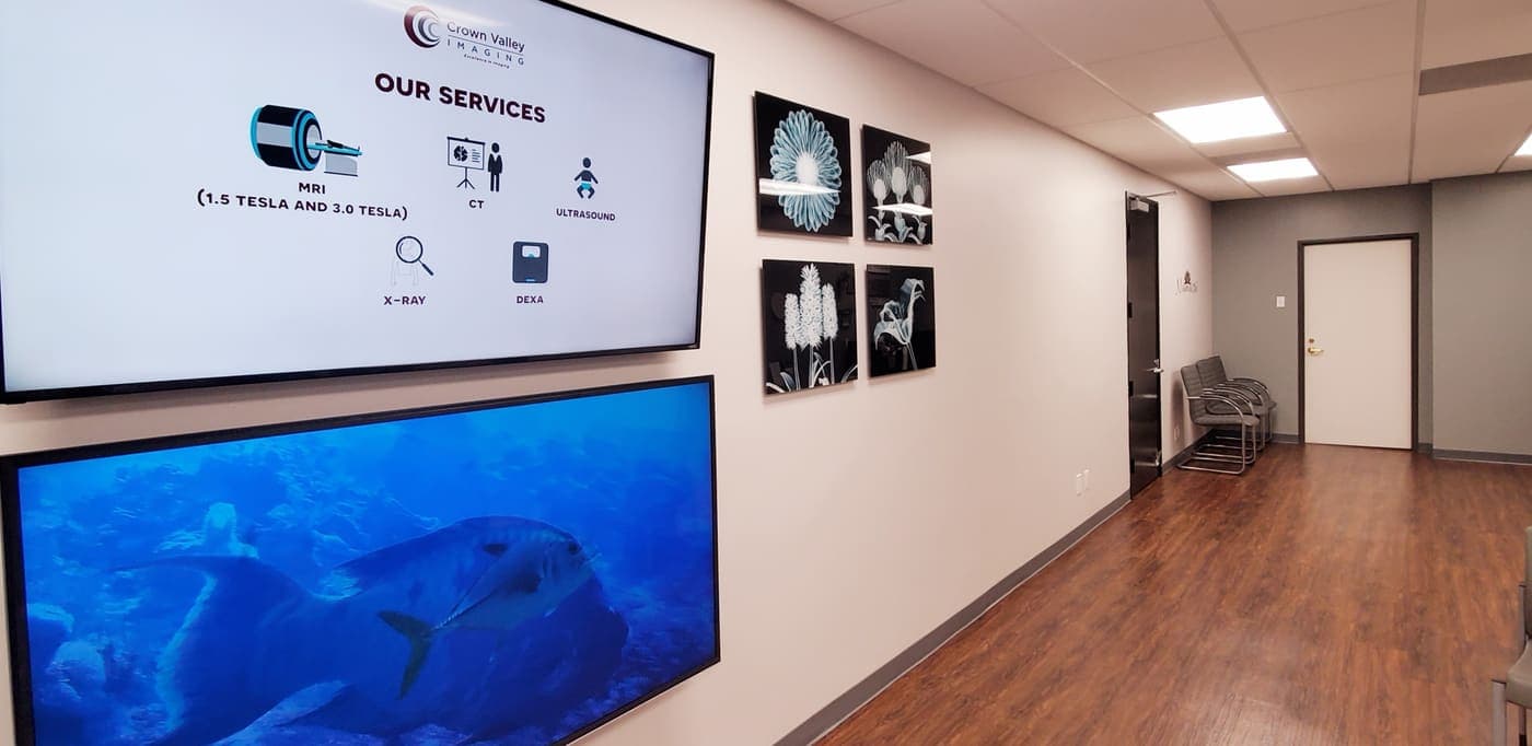 Patient corridor with the practice's signature radiographic flower artwork